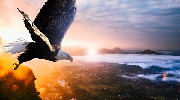 500981121_wx.jpg 500981121_wx.jpg